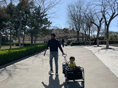 -石家庄市动物园