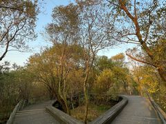 -西湖风景区-江洋畈生态公园