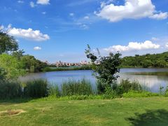 -盘龙城国家考古遗址公园