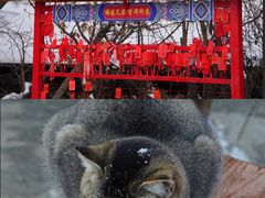 -少华山国家森林公园