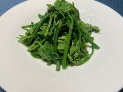 -蜀国演义(黄寺大街店)