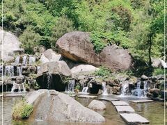 -大围山国家森林公园