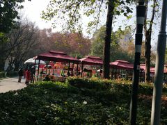 -绵阳人民公园(涪城区)