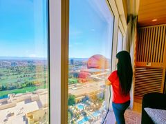 -拉斯维加斯永利酒店