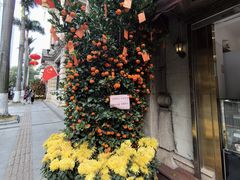 -陶然轩(沙面店)