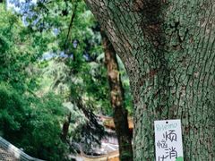 -狼山风景名胜区