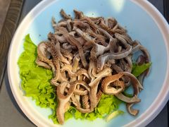 -额尔敦传统涮(公园西路店)