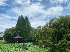 -乌镇望津里精品酒店