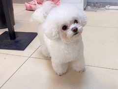 -宠颐生中康贝怡动物医院
