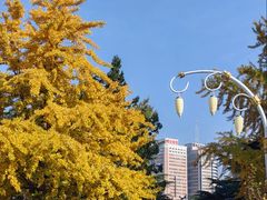 -大连人民广场