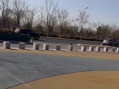 -东郊湿地公园