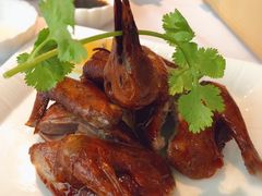 红烧妙龄乳鸽-粤财皇冠假日酒店·彩华轩中餐厅