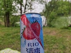 -白鹭湾湿地公园