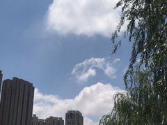 -京玉菲饭店(李村店)