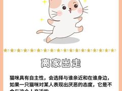 -爱侣宠医·鹦鹉专科·小型哺乳类·异宠专科(灵石路店)