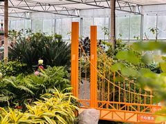 -南宫五洲植物乐园