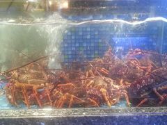 -乾隆美食·本帮菜(黄河路店)