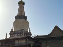 -张掖大佛寺景区