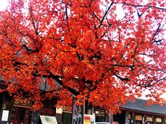 -沕沕水生态风景区