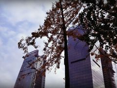 -重庆市江北嘴中央商务区中央公园