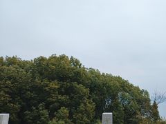 -千岛湖东南湖区