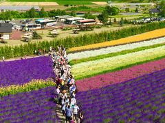 -富田农场