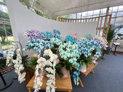 -上海鲜花港