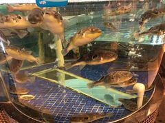 -王子私厨(鸿通城购物中心店)