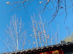 -张公山寨景区