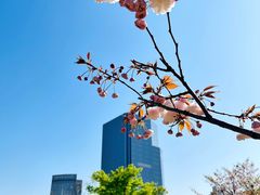 -新虹桥中心花园
