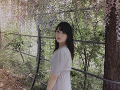 -大塘金香草谷