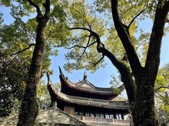 -天一阁博物院