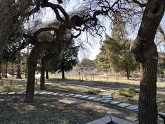 -国家植物园南园