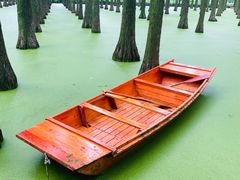 -渌洋湖湿地公园