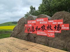-哈乌尔河