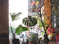 -安妮意大利餐厅(国贸店)
