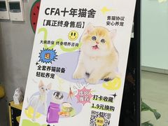 -十年猫舍·猫咪专门店(普陀店)