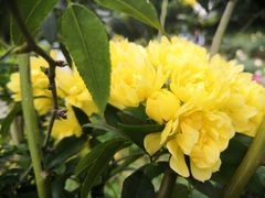 -人民公园(罗湖区)