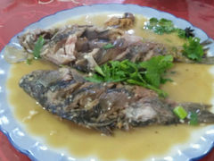 android_upload_pic-连池鱼豆味坊(风景区店)