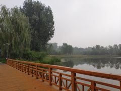 -东郊湿地公园