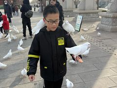 -天津妈祖文化园