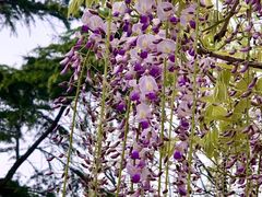 -尹兰楼西北风情餐厅(嘉定店)