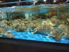 -徐记海鲜(观沙岭|滨江新城店)