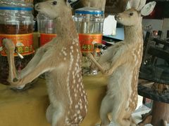 -乔家满族八大碗(流水沟店)