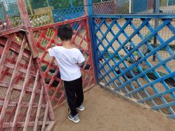 -萌宠亲子动物乐园(槐房万达店)