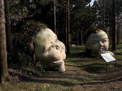-东平国家森林公园