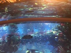 -迪拜帆船酒店海底餐厅