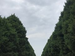 -秦始皇帝陵博物院-丽山园