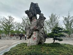 -天一阁博物院