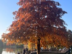 -浙江农林大学(东湖校区)